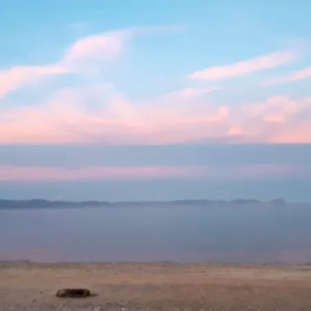 Amazing View *